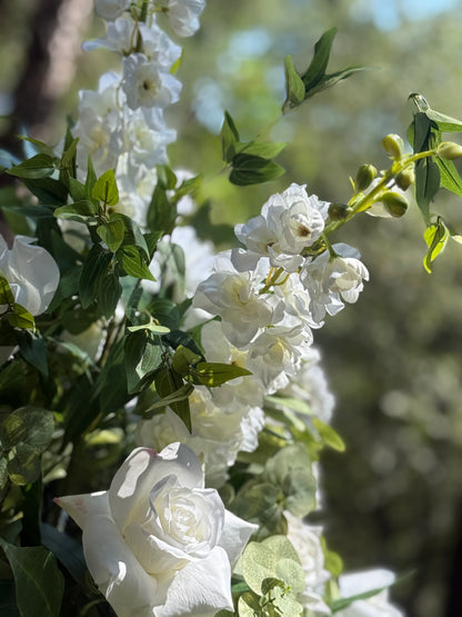 Close-up macro of Enchanted urn rental blooms with white roses and white delphinium in bright outdoor sunlight at pine forest wedding venue | Reno, Lake Tahoe & Sacramento