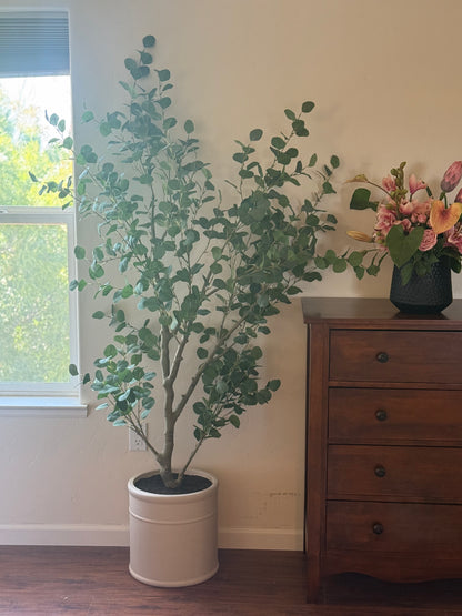 Faux silver dollar eucalyptus tree rental in white cylinder pot with full lush canopy beside wood dresser at indoor setting of Bridal suite | Reno, Lake Tahoe & Sacramento