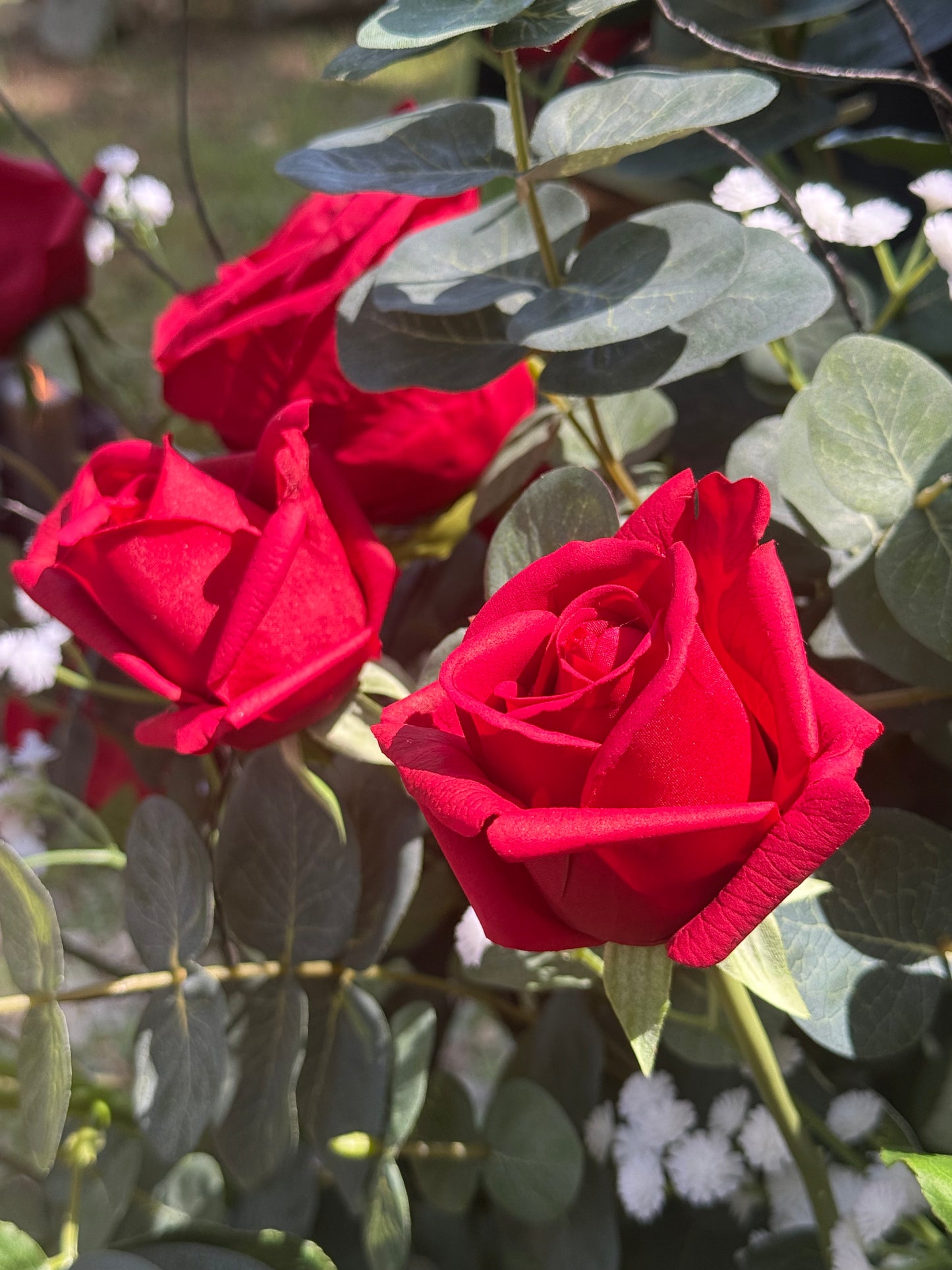 (2) Red Urns