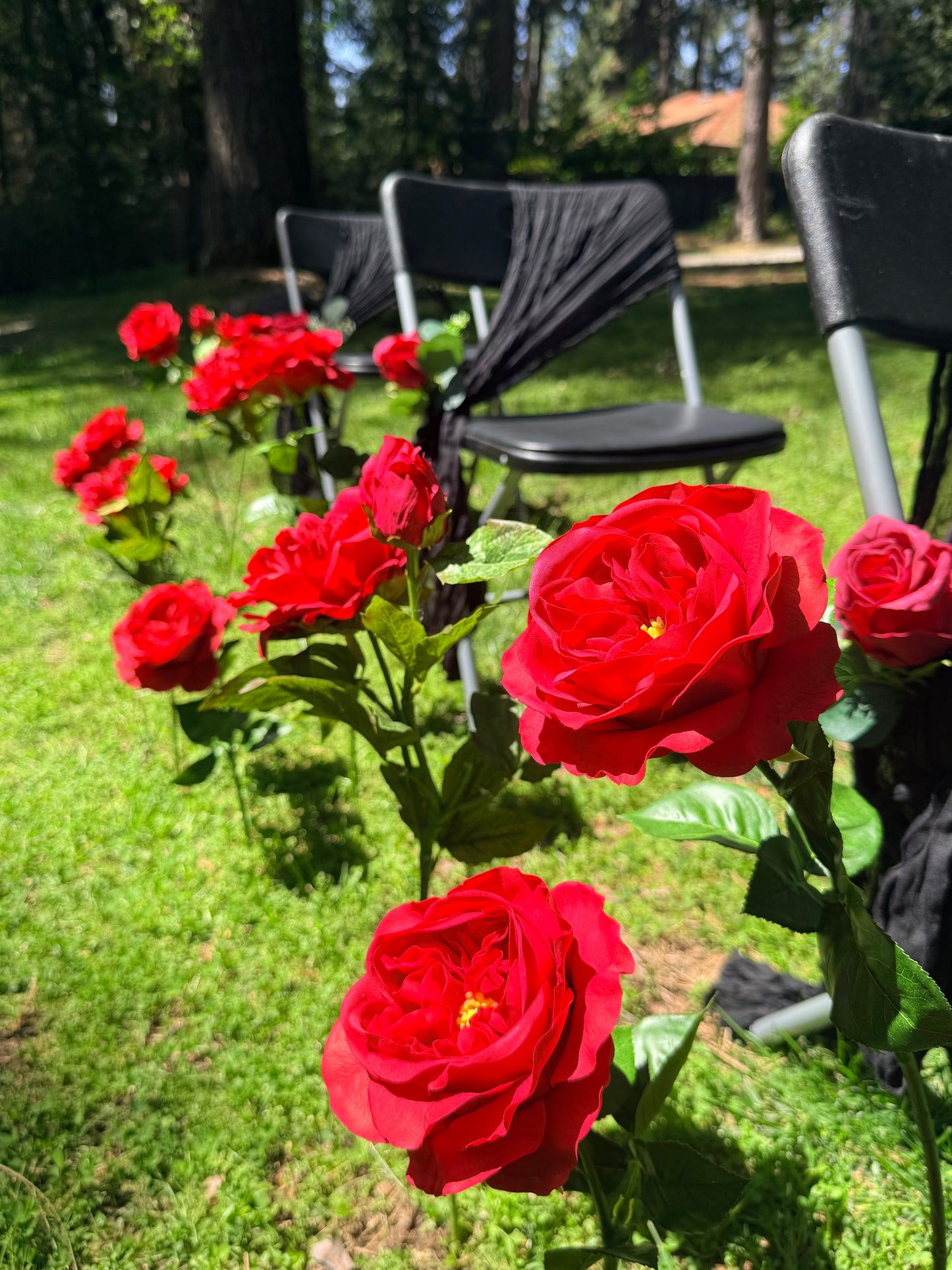 (12) Red roses with colored ties for aisle chairs