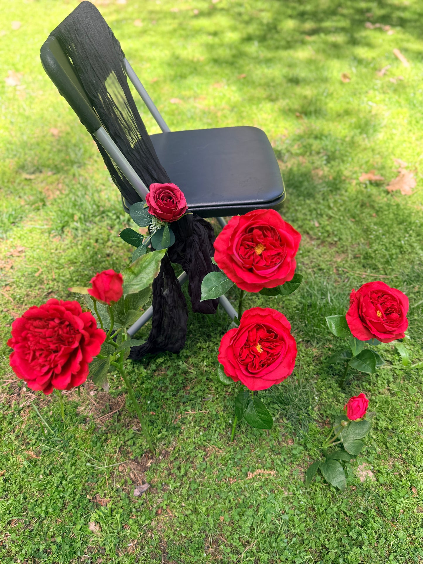 (12) Red roses with colored ties for aisle chairs