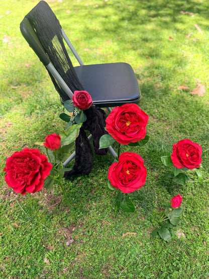 (12) Red roses with colored ties for aisle chairs
