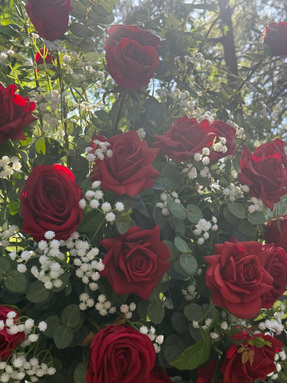 Close-up of lush red roses, baby's breath, and eucalyptus in red rose arch adornment rental in bright natural sunlight | Reno, Lake Tahoe & Sacramento