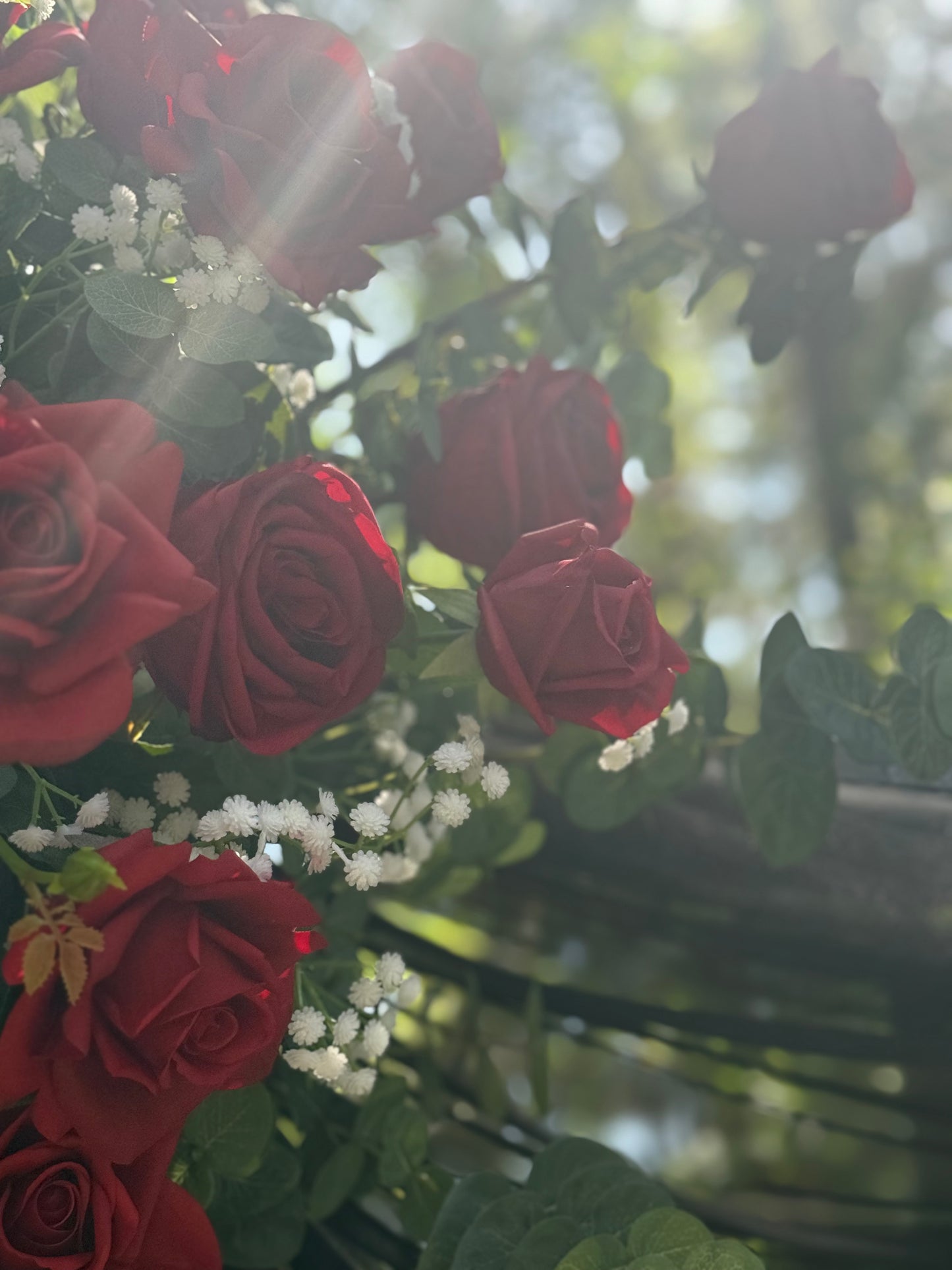 Close-up of red roses and baby's breath in red rose arch adornment rental with warm sunlight filtering through pine trees | Reno, Lake Tahoe & Sacramento